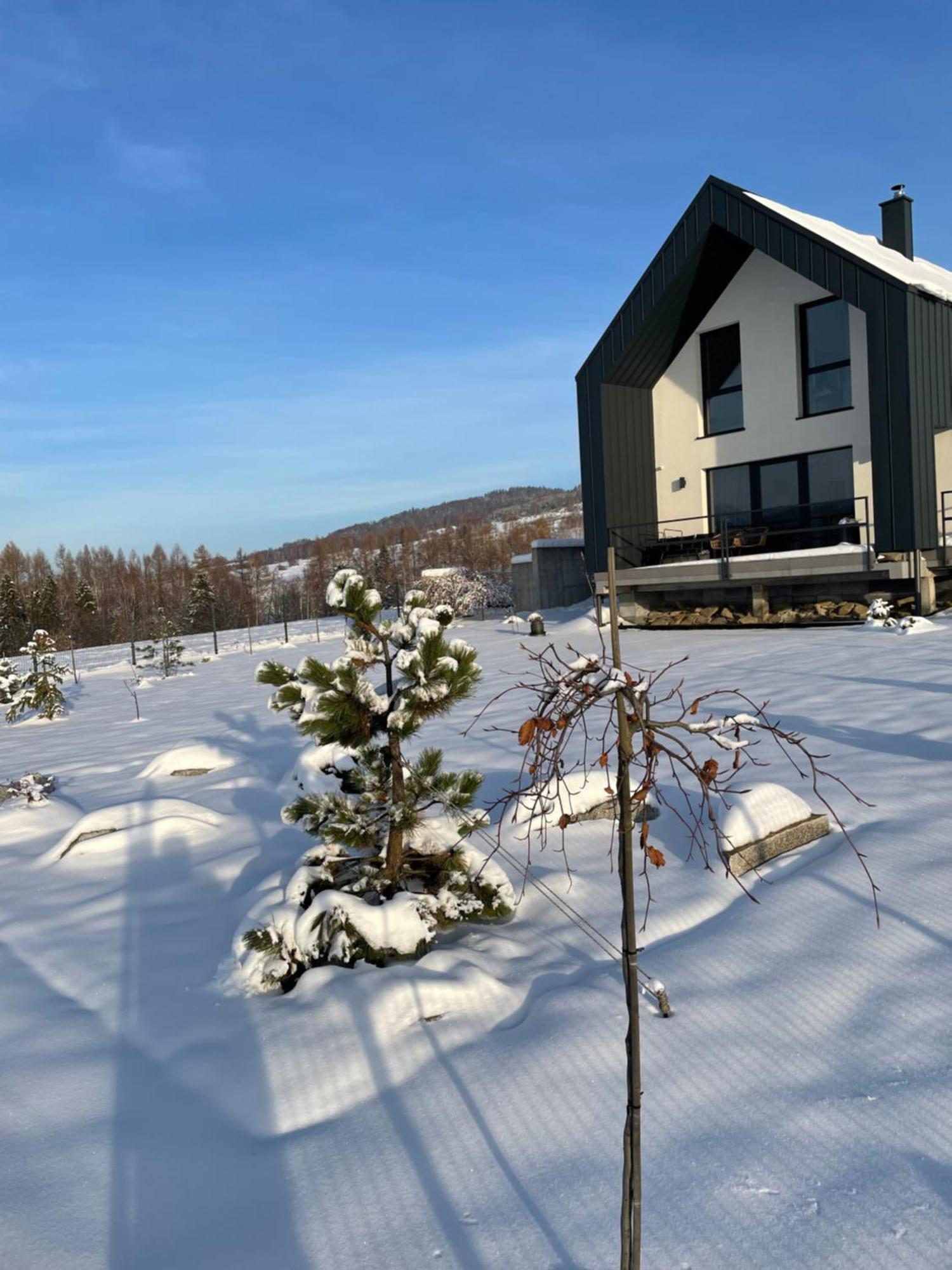 Villa Stodola 55 *