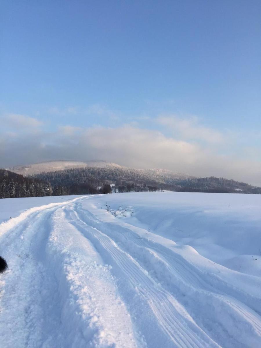 Stodola 55 * Milówka